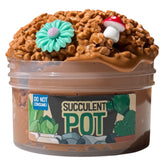 Succulent Pot