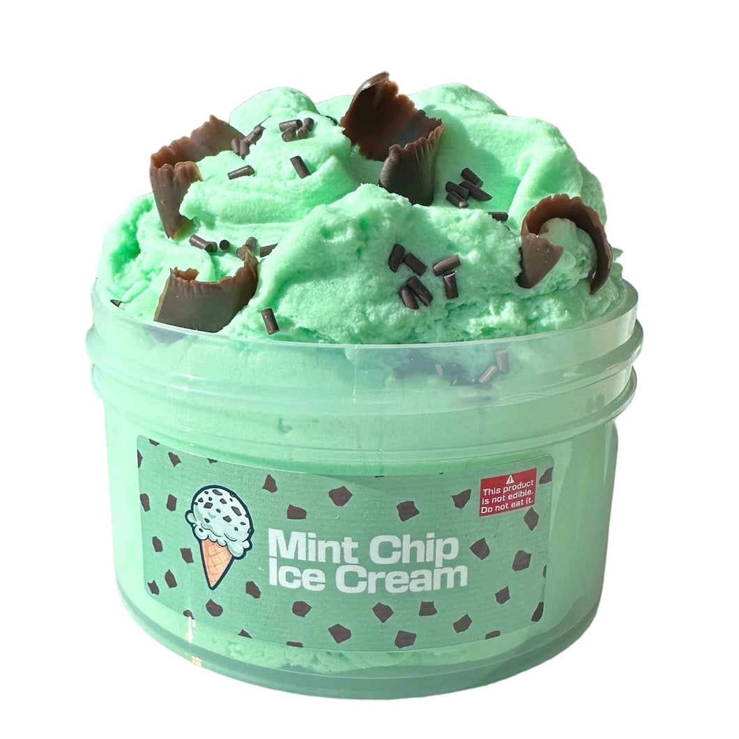 Mint Chip Ice Cream