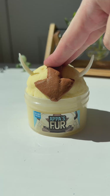 Appa’s Fur